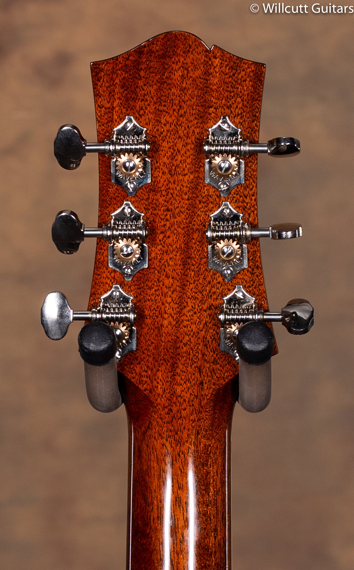 Collings C100 DLX Acoustic Guitar USED