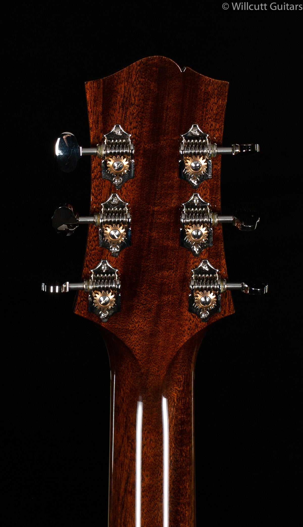 Collings C100 Deluxe