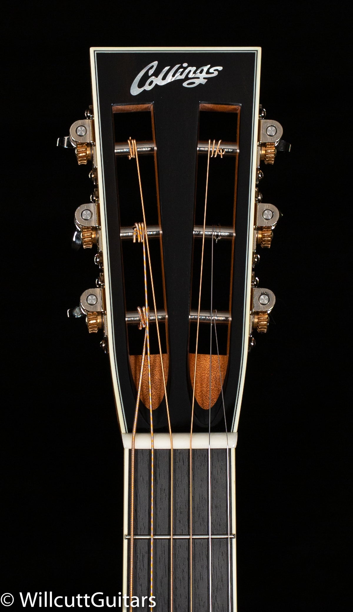 Collings 0003 Blue Spruce BearClaw