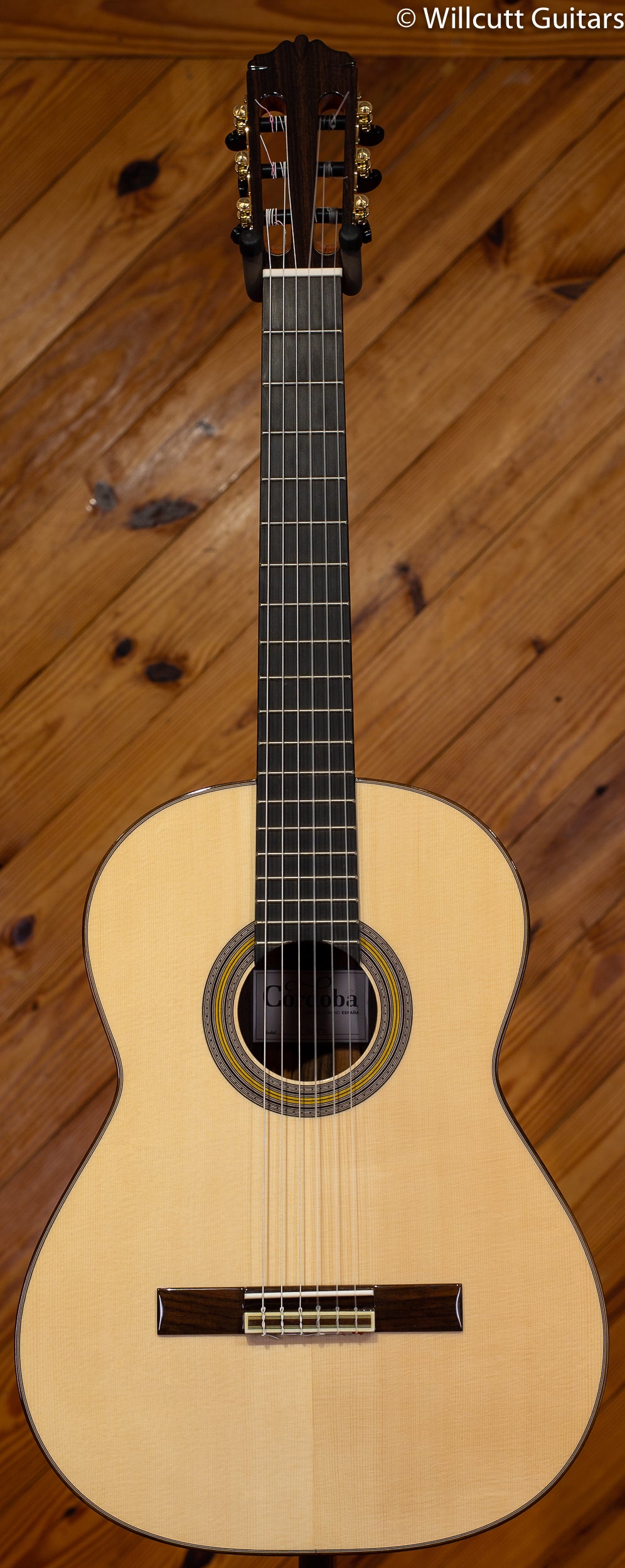 Cordoba Solista SP/IN Classical w/Humicase DEMO