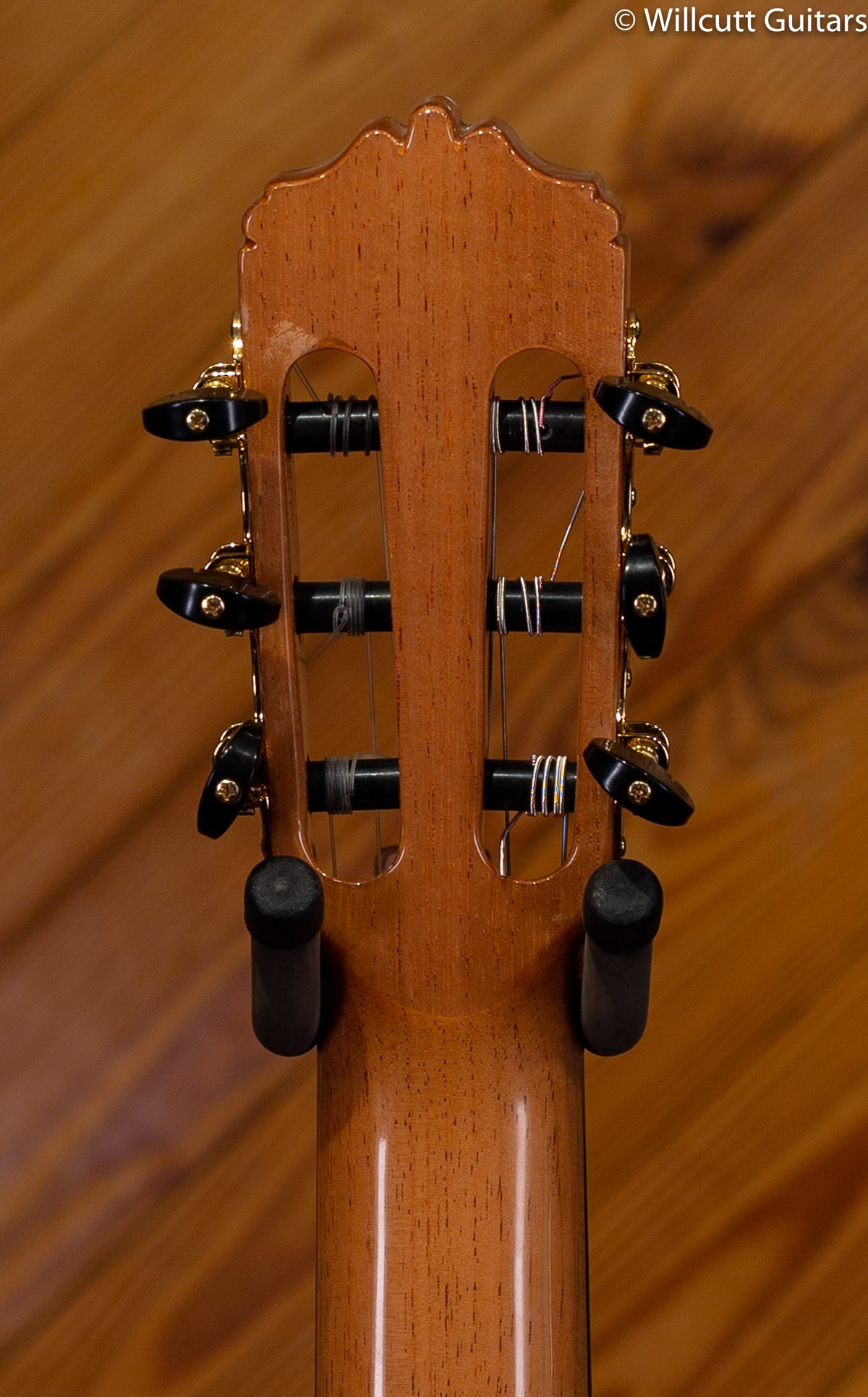 Cordoba Solista SP/IN Classical w/Humicase DEMO