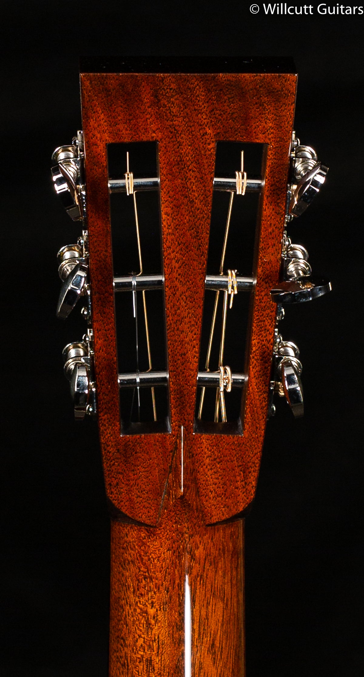 Collings 002H German Spruce Top (491)