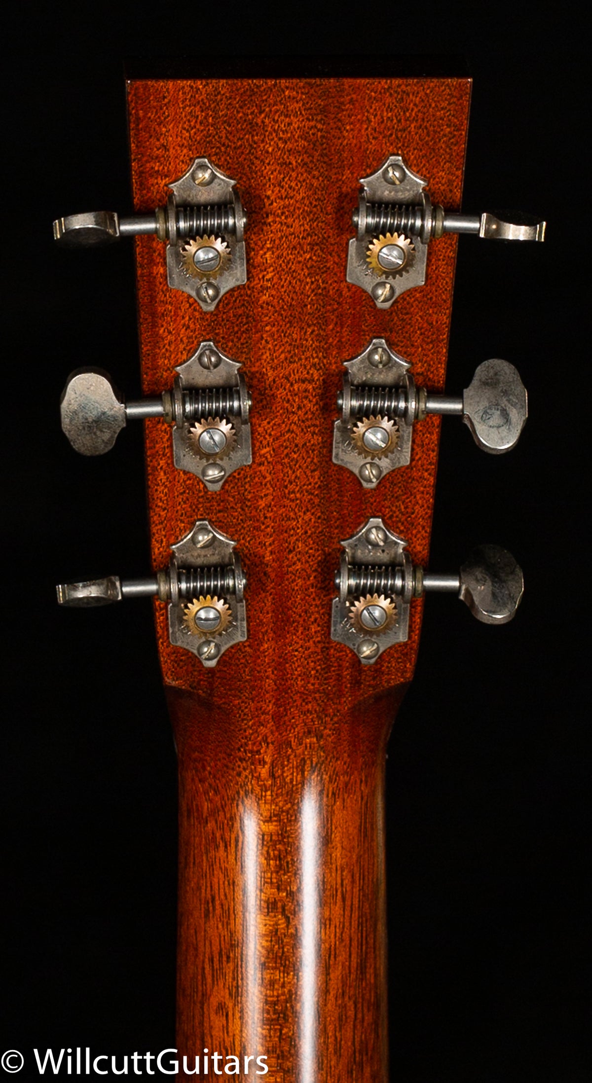 Collings D1A T Adirondack Spruce Traditional (679)