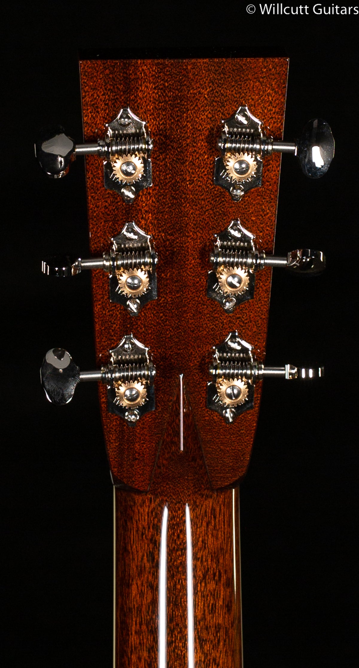 Collings CW Indian Torrefied Adirondack Spruce Top (843)