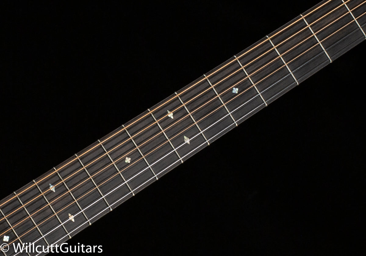 Collings D2H Adirondack Spruce Top Traditional Package (115)