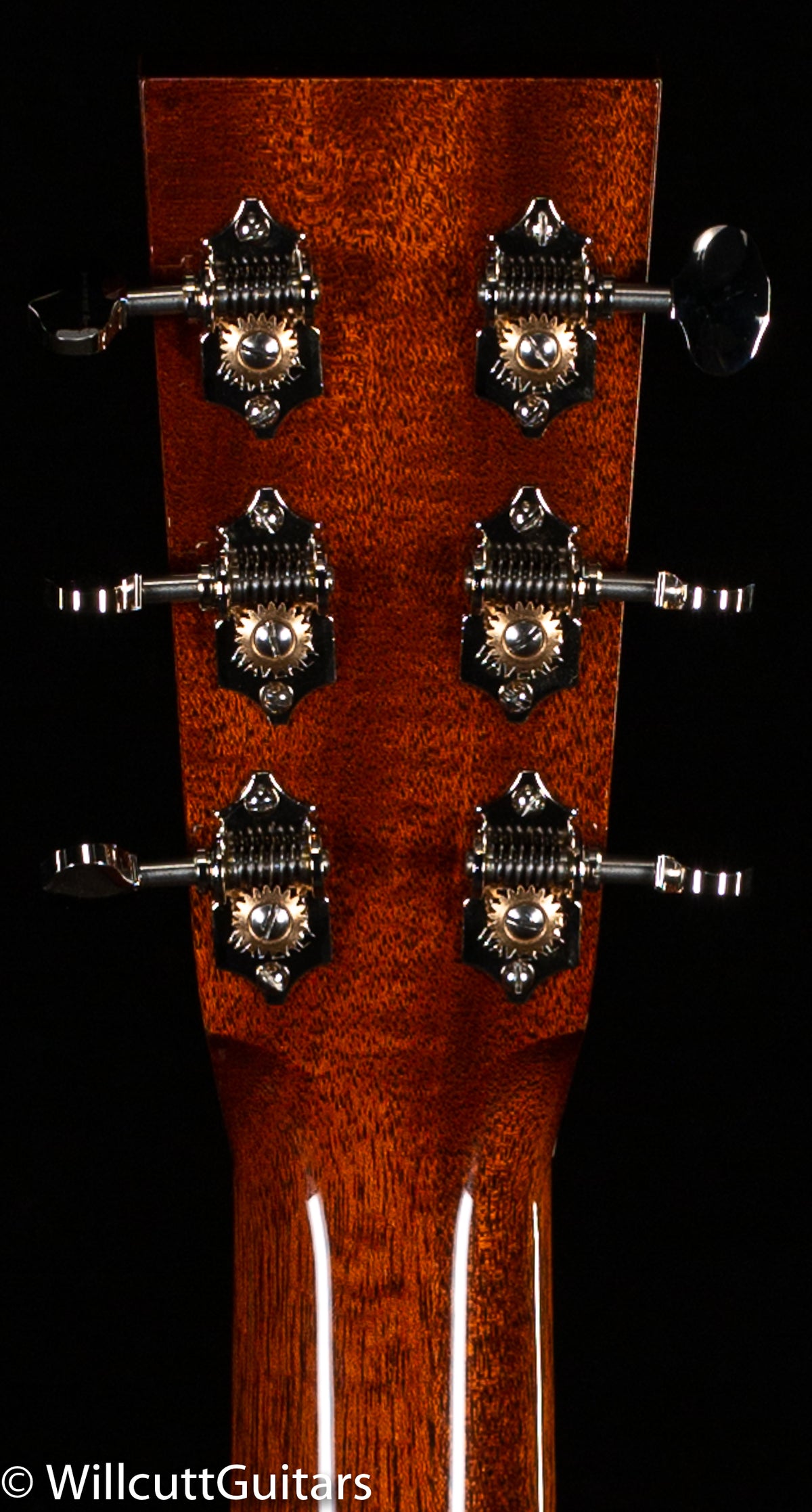 Collings D1A T Adirondack Spruce Top Traditional Package (199)