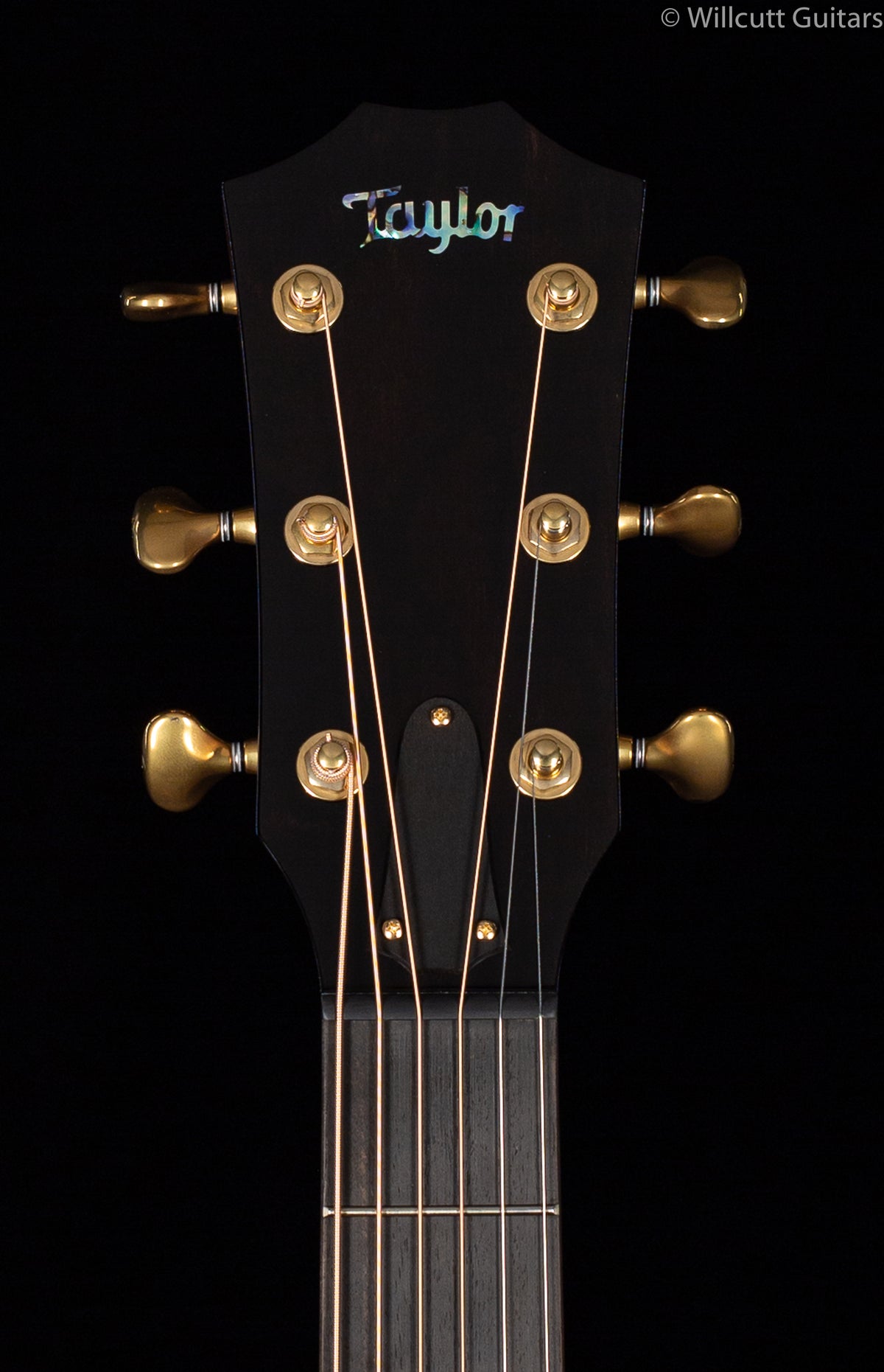 Taylor Custom  K24ce AA Top, V-Class