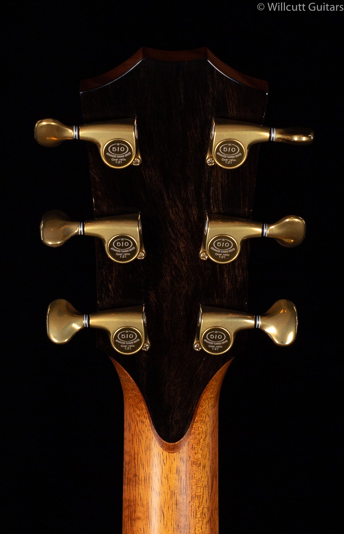 Taylor Custom  K24ce AA Top, V-Class