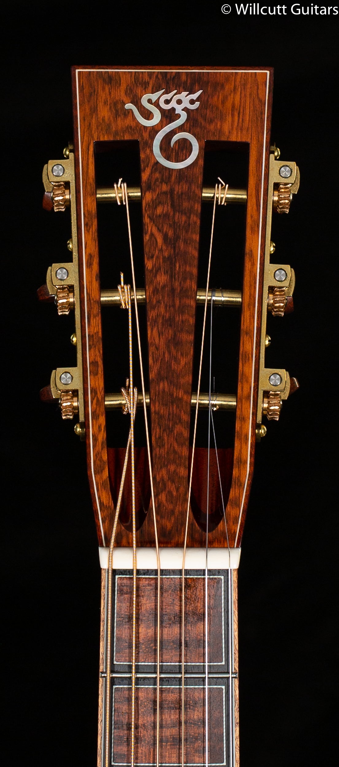 Santa Cruz Style 1 Ancient Spruce Snakewood