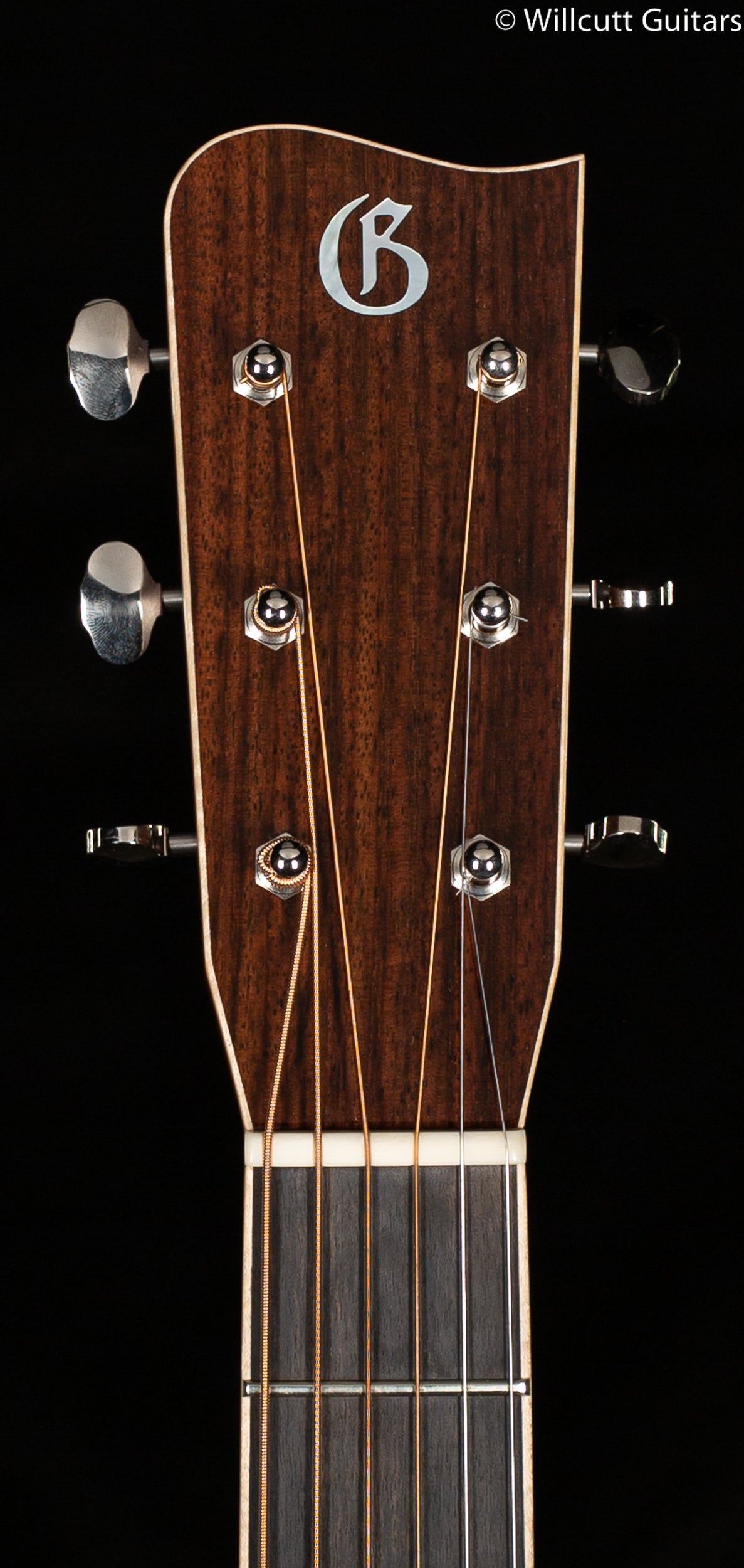 Gallagher Doc Watson Signature (946)