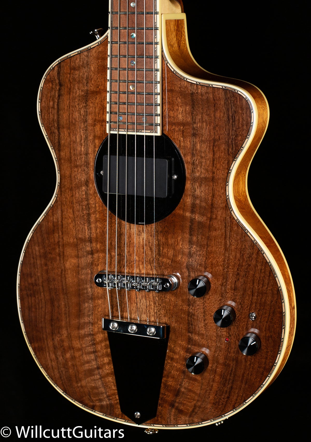 Rick Turner Model 1 Deluxe Electric Guitar Figured Walnut (464)