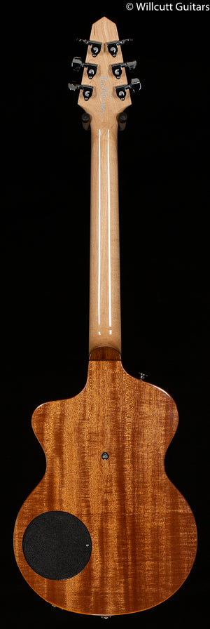 Rick Turner Model 1 Standard solid maple neck