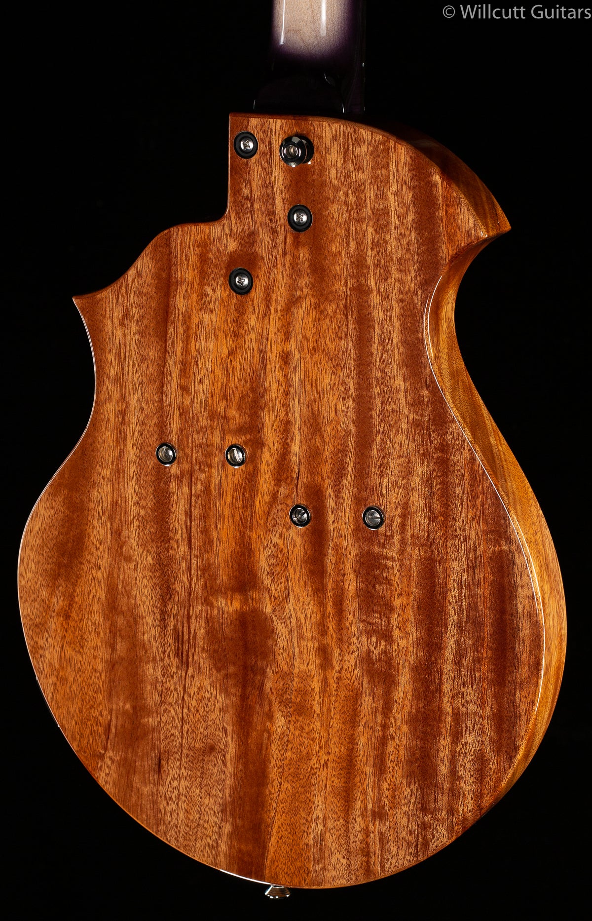 Rick Turner Model T Custom "Bezardpoxy" Top