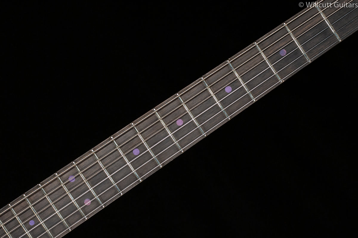 Rick Turner Model T Custom "Bezardpoxy" Top