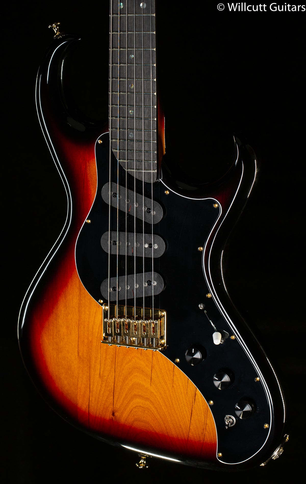 Rick Turner Renaissance Electroline Guitar Standard Hard Tail