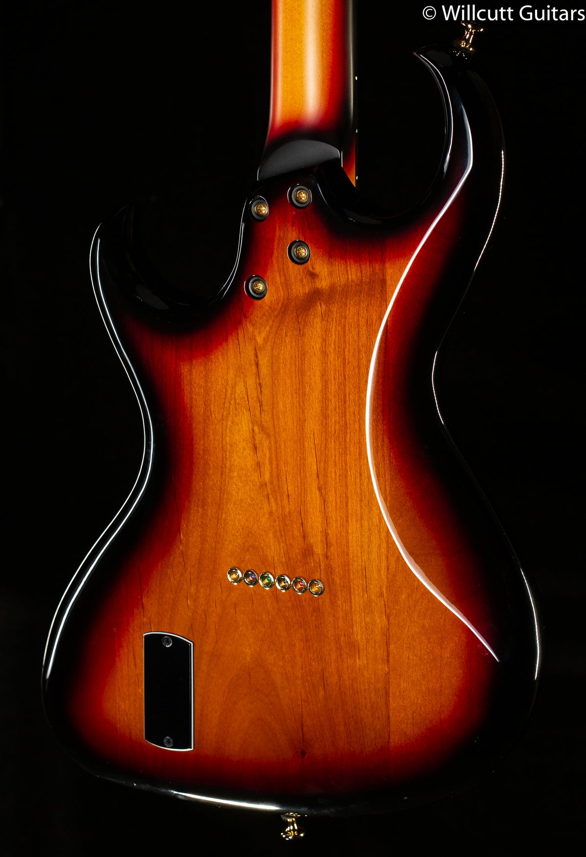 Rick Turner Renaissance Electroline Guitar Standard Hard Tail