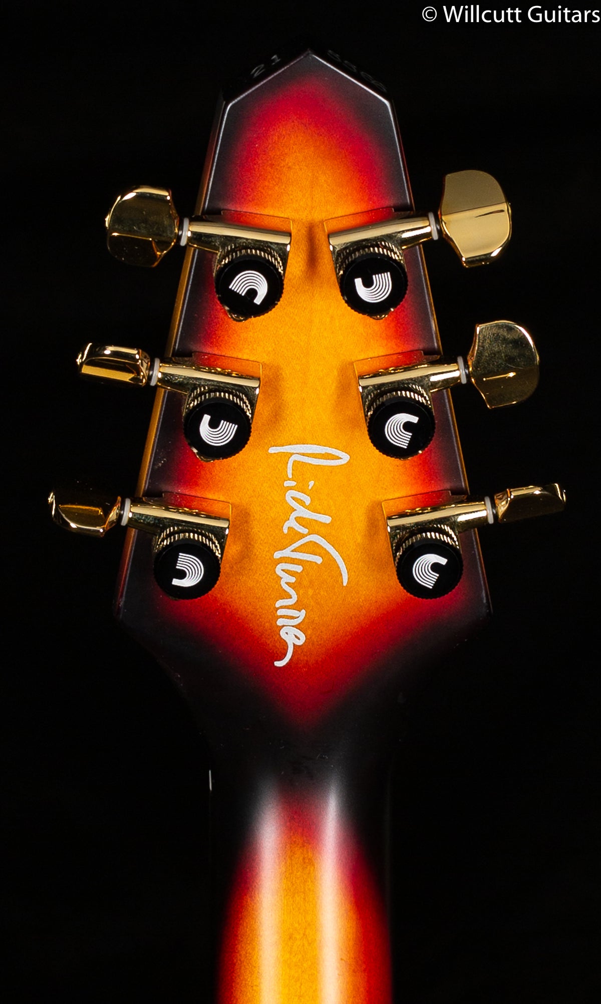 Rick Turner Renaissance Electroline Guitar Standard Hard Tail