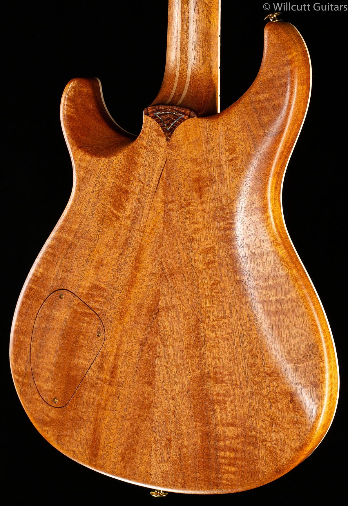 Giffin Standard Hollowbody Koa Top