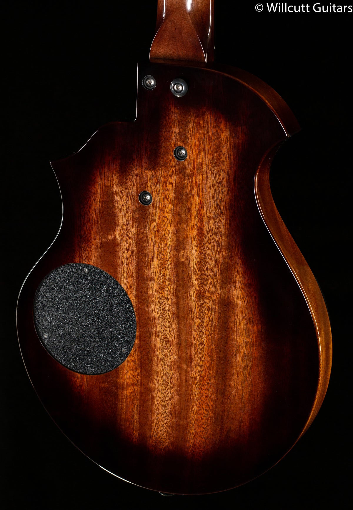 Rick Turner Model T Bass Anigre Top Bass Guitar