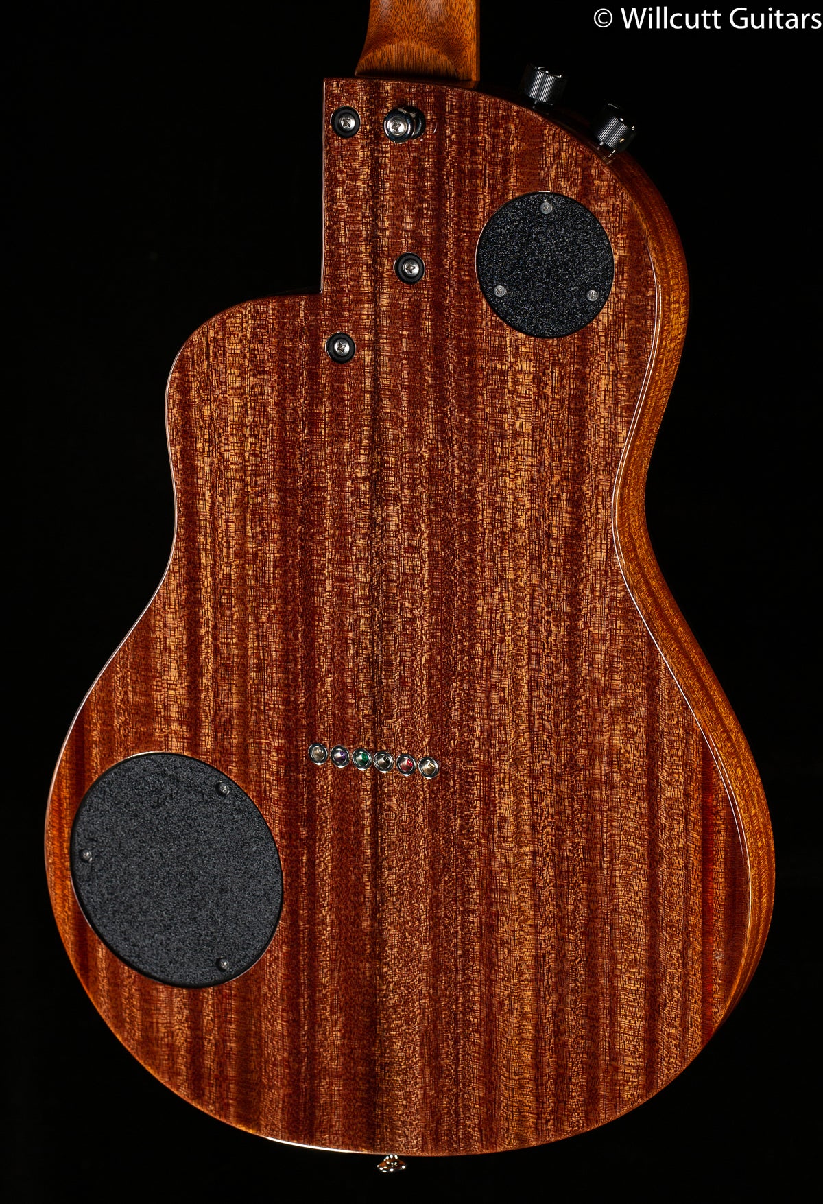 Rick Turner Renaissance RS-6 Special Purple Rain