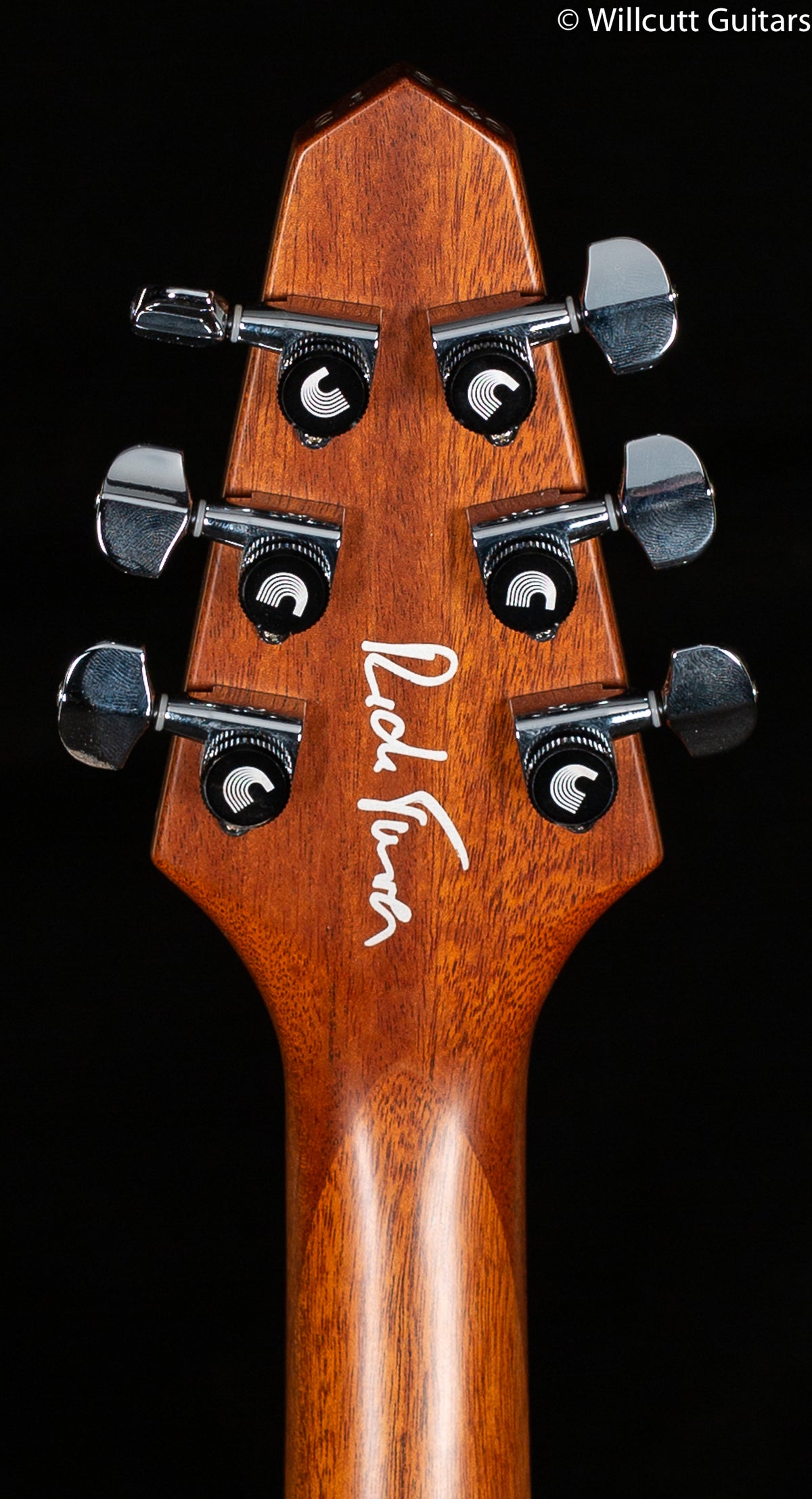 Rick Turner Renaissance RS-6 Special Purple Rain