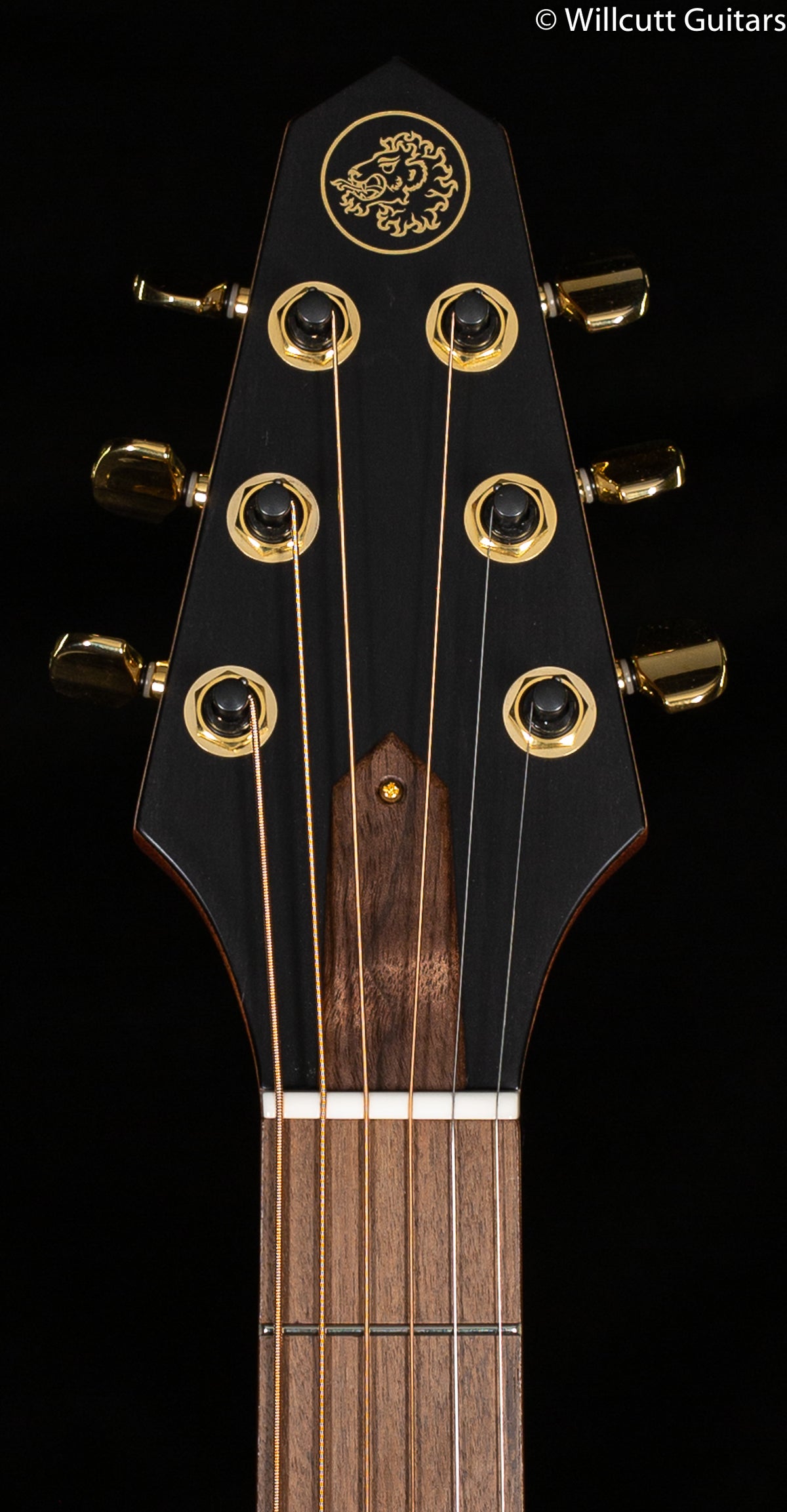 Rick Turner Renaissance RS6 Standard Steel String AmpliCoustic Guitar (654)