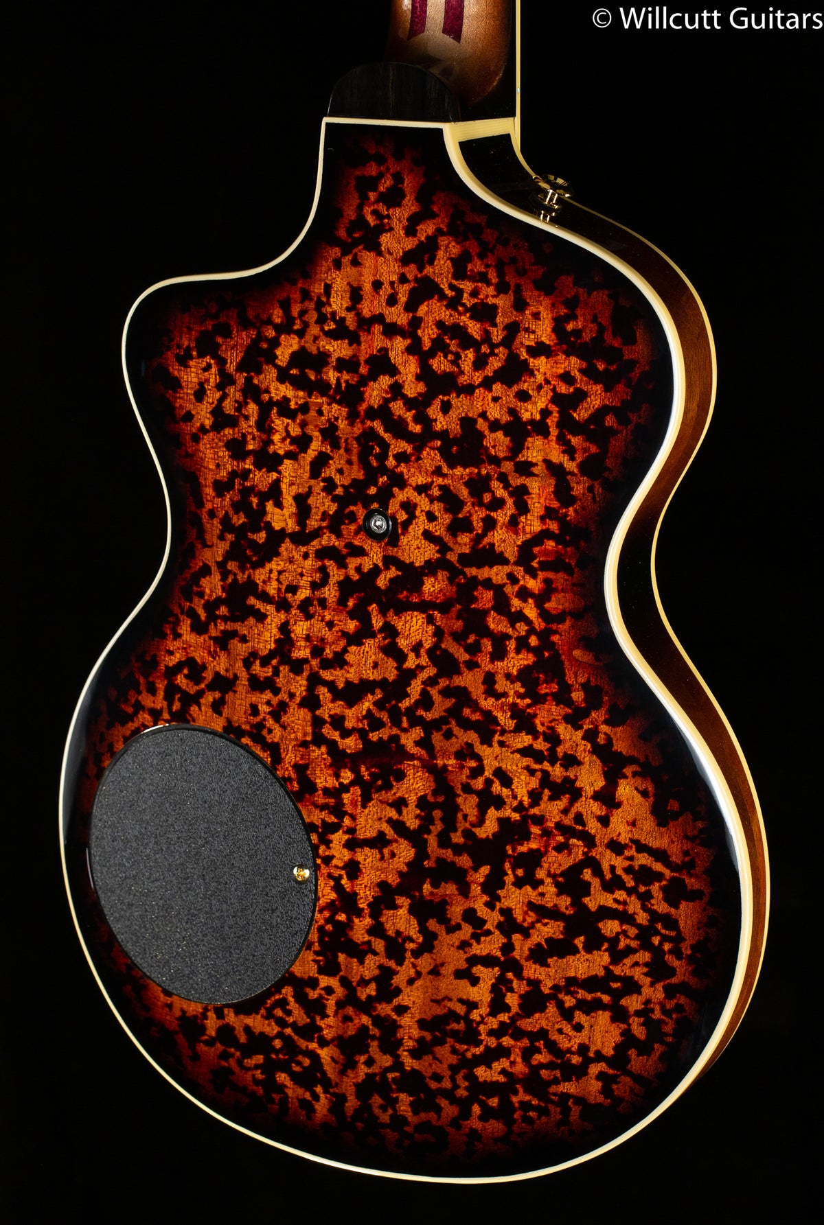 Rick Turner Model 1 CP Deluxe Tortoise Burst Top (723)