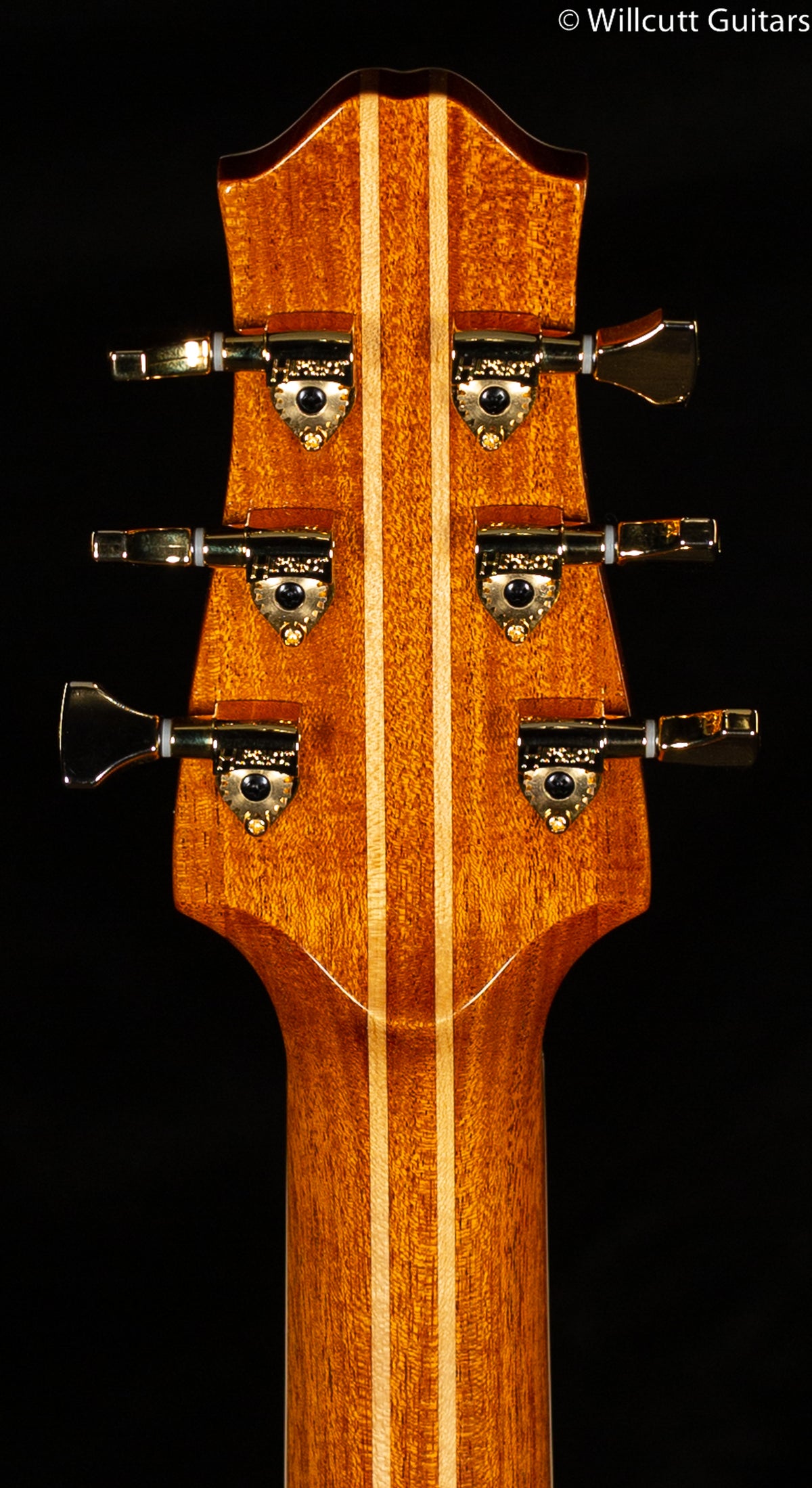 Giffin Standard Solid Burl Maple Top Dark-Burst (250)