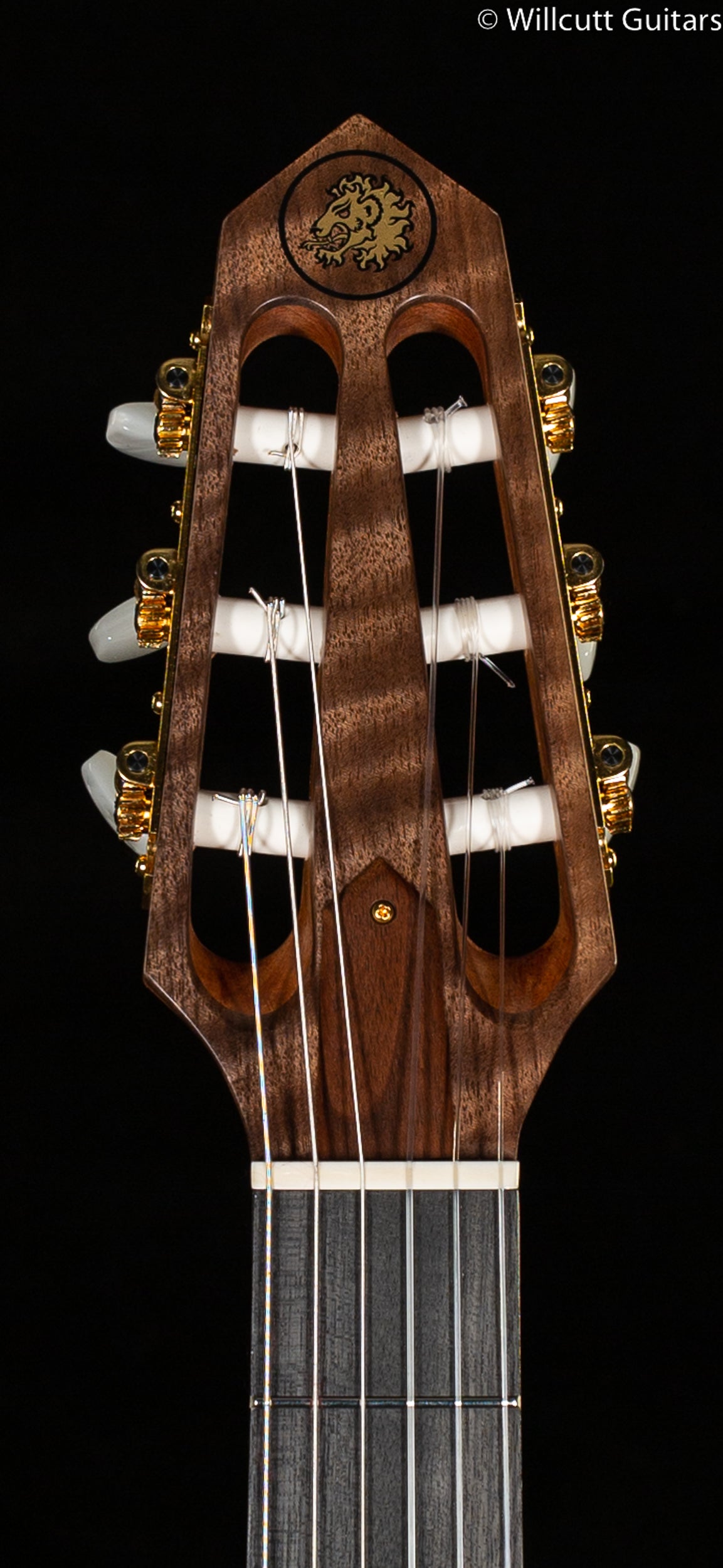 Rick Turner RN6 Standard Hybrid Nylon String Amplicoustic Flamed Redwood (782)