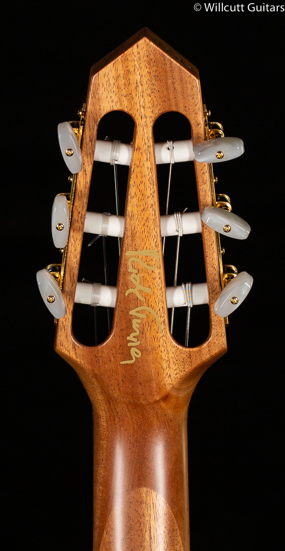 Rick Turner RN6 Standard Hybrid Nylon String Amplicoustic Flamed Redwood (782)