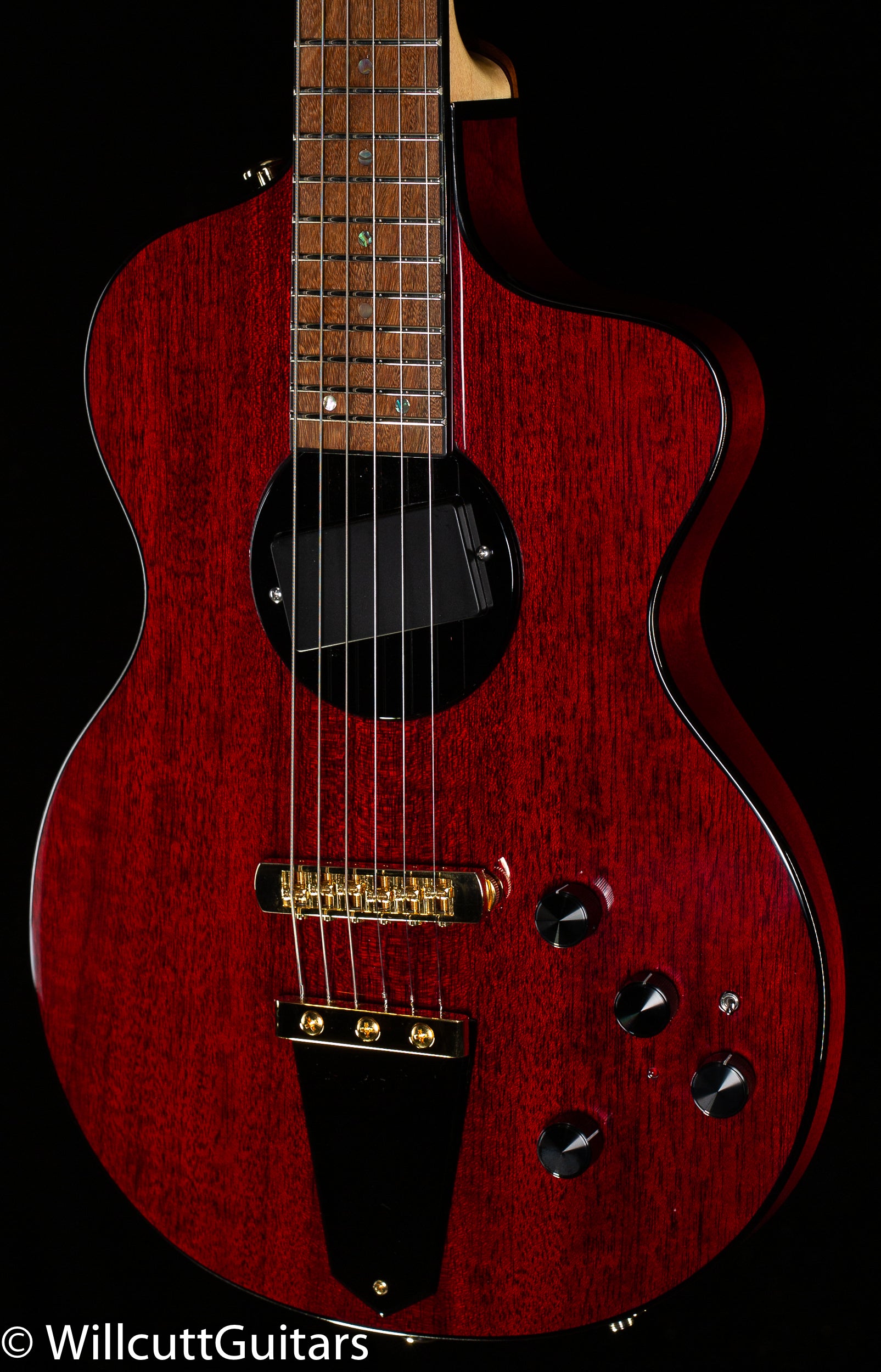 lindsey buckingham gear Rick Turner Model 1 Deluxe Lindsey Buckingham Model (791)