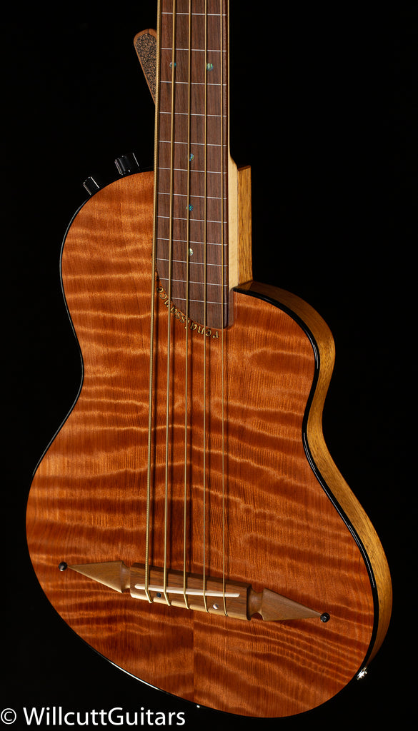 Rick Turner Renaissance RB5 Standard 5-string Ampli-Coustic Bass