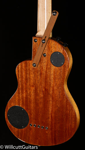 Rick Turner Renaissance RB5 Standard 5-string Ampli-Coustic Bass Fretless Curly Redwood Top (850)