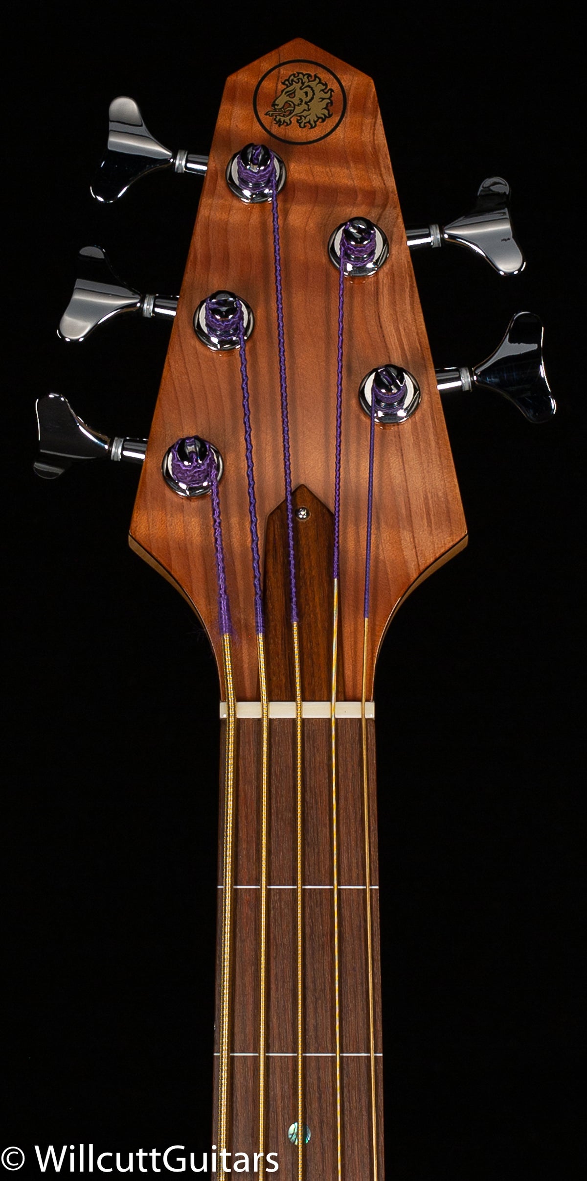 Rick Turner Renaissance RB5 Standard 5-string Ampli-Coustic Bass Fretless Curly Redwood Top (850)
