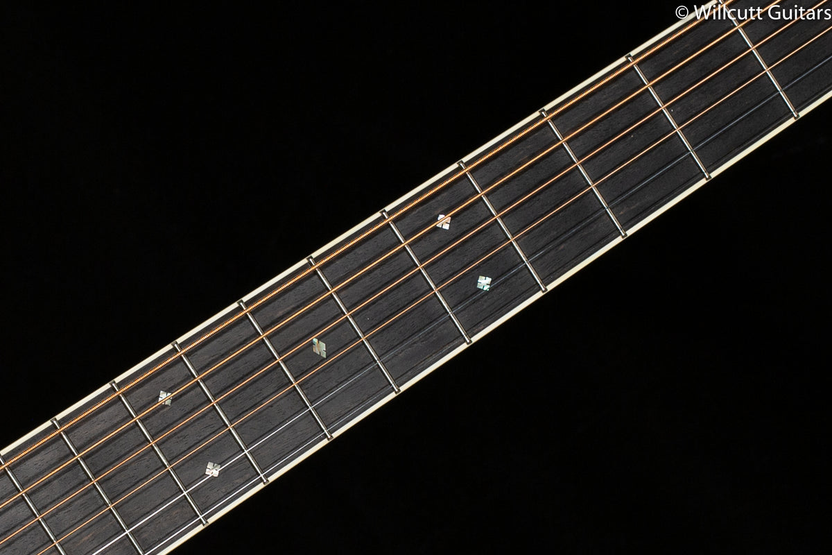 Santa Cruz OOO Adirondack Top and Braces