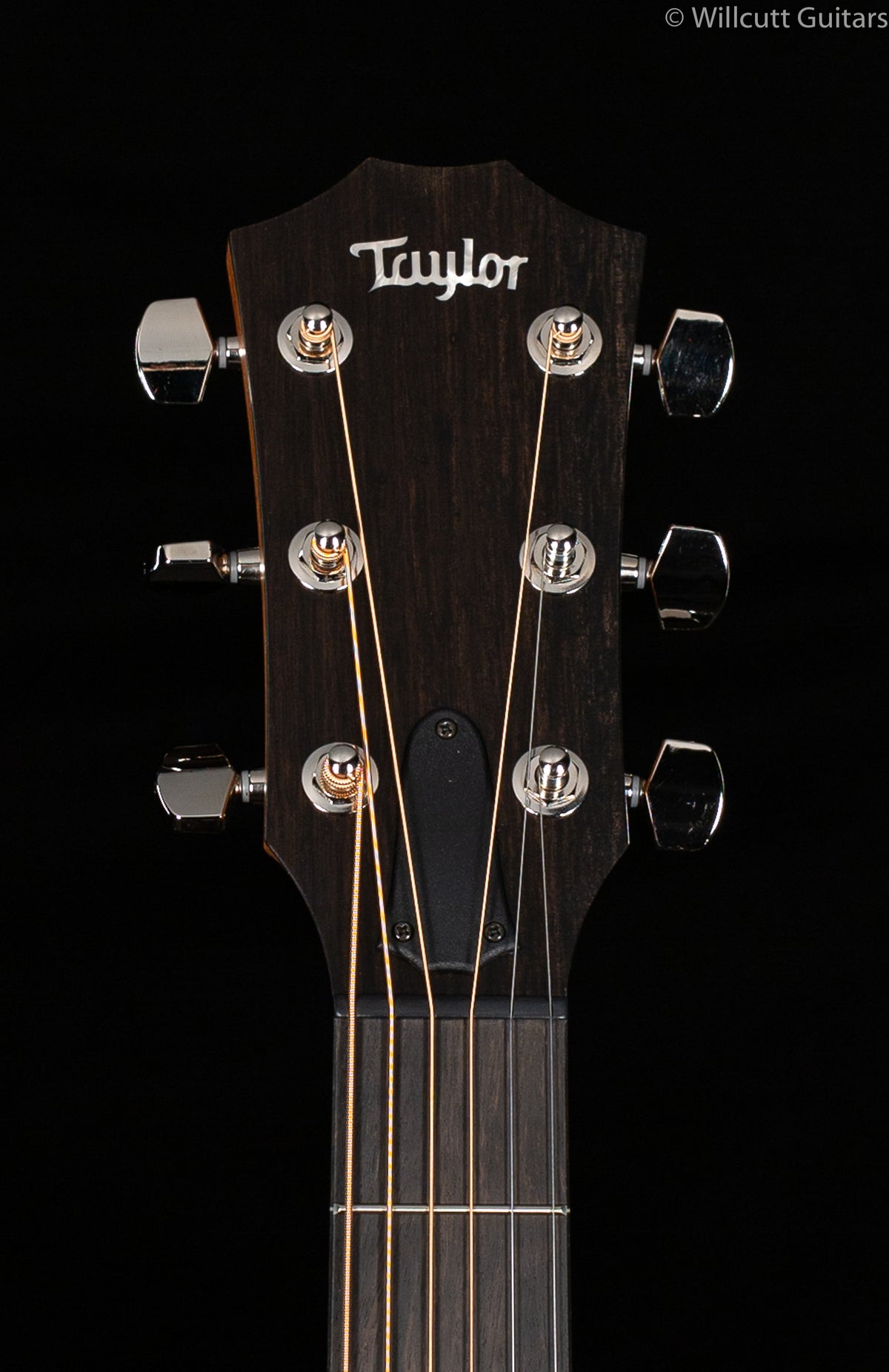 Taylor AD17e American Dream Grand Pacific
