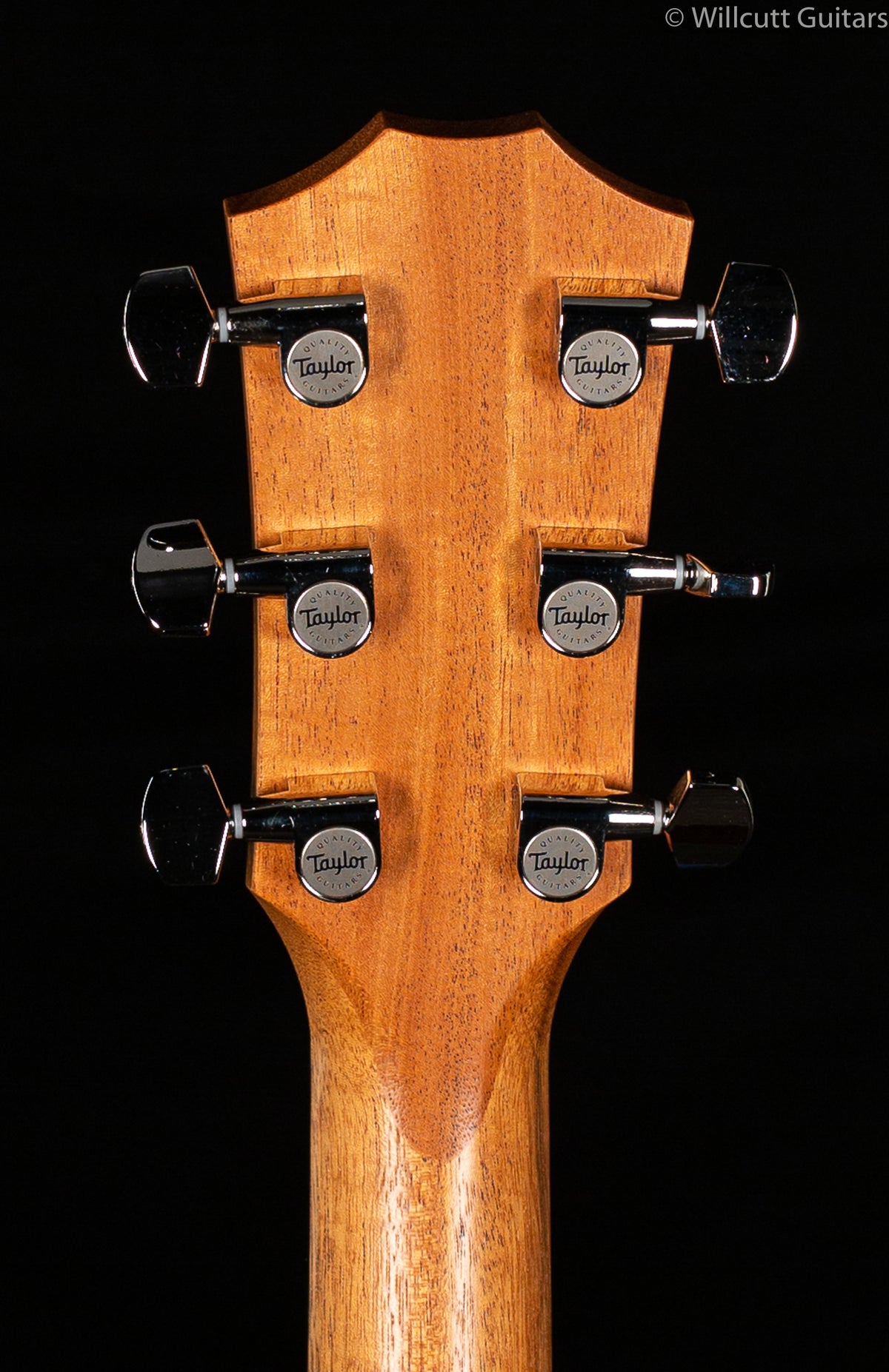 Taylor AD17e American Dream Grand Pacific