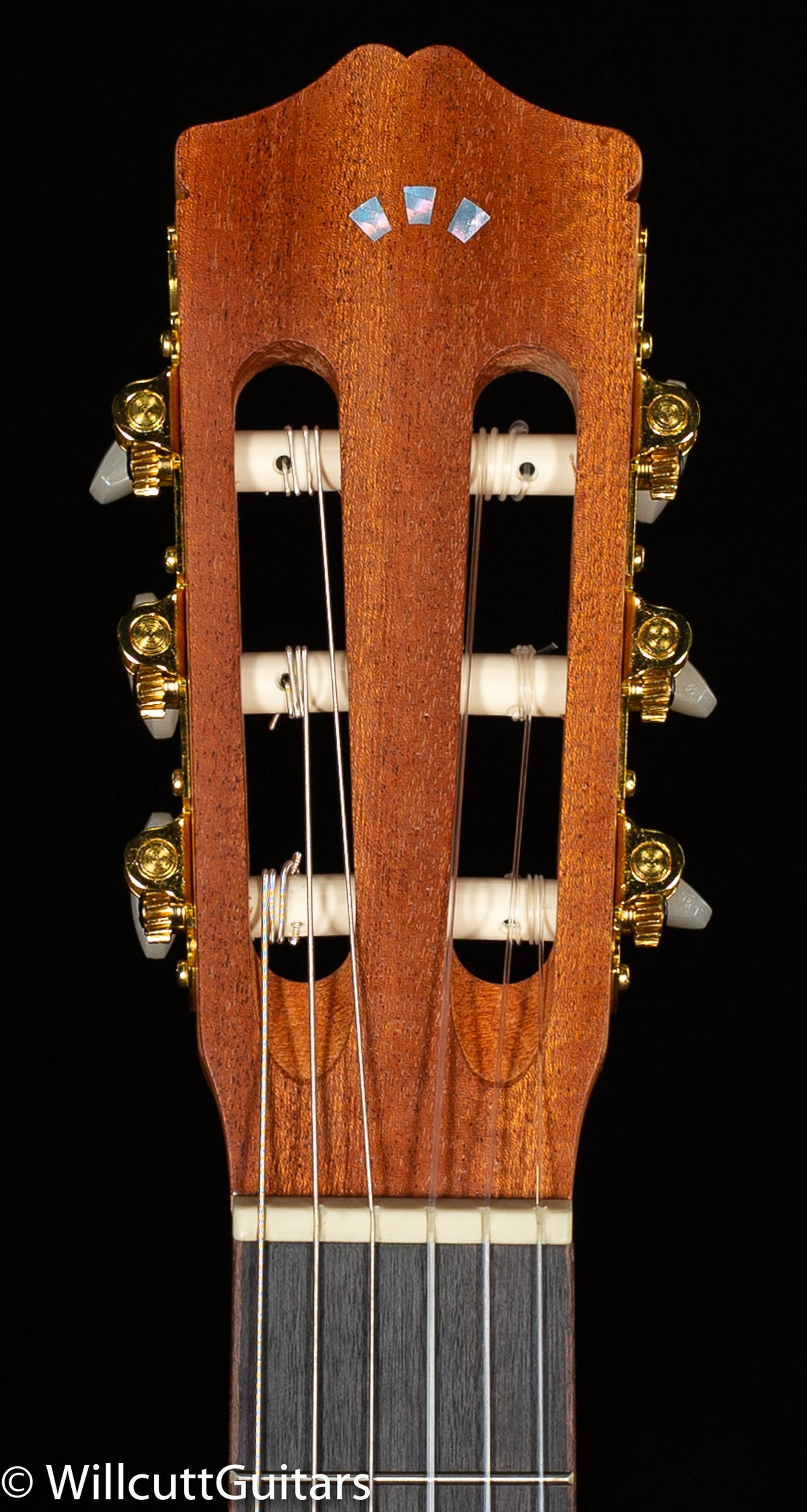 Protege by Cordoba C1M (804)