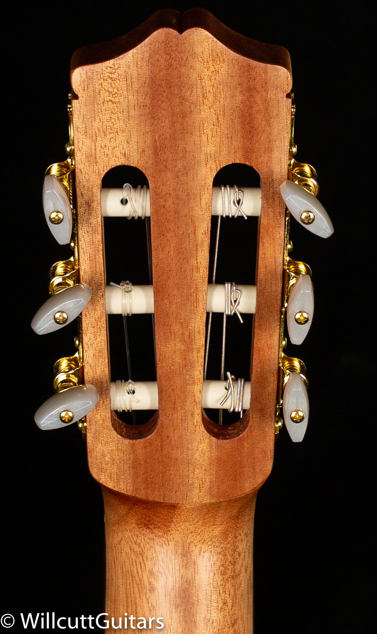 Protege by Cordoba C1M (804)