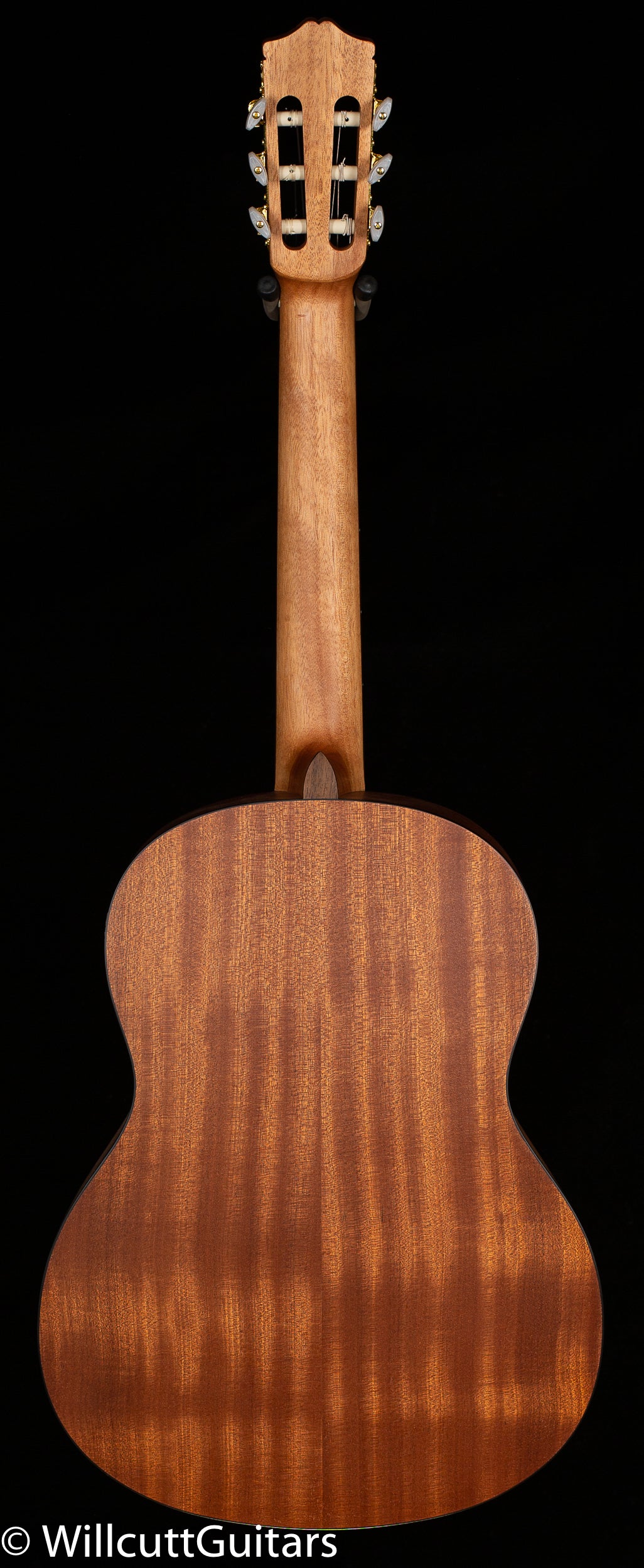 Protege by Cordoba C1M (810)