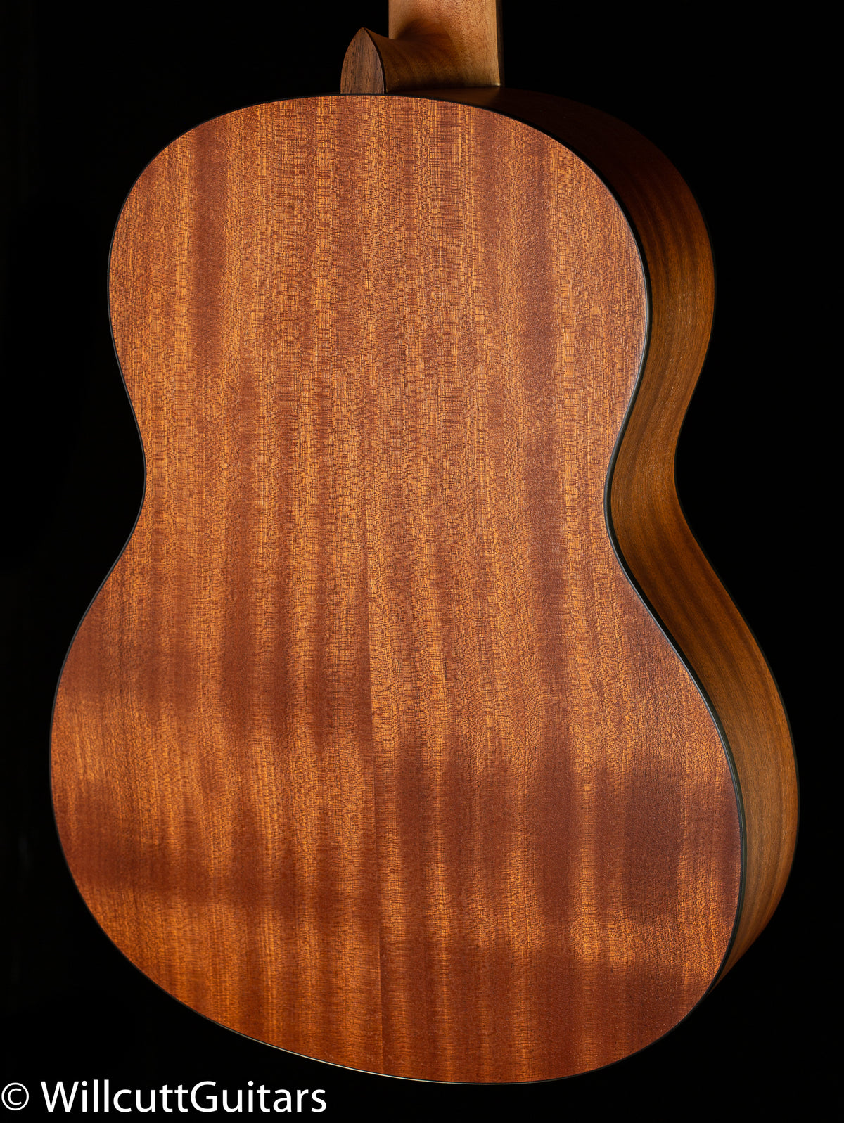 Protege by Cordoba C1M (810)