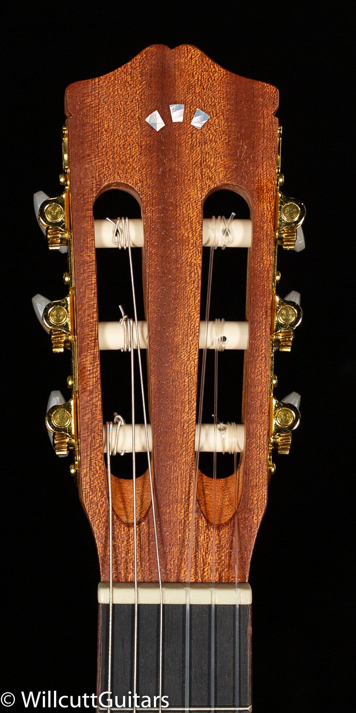 Protege by Cordoba C1M (810)