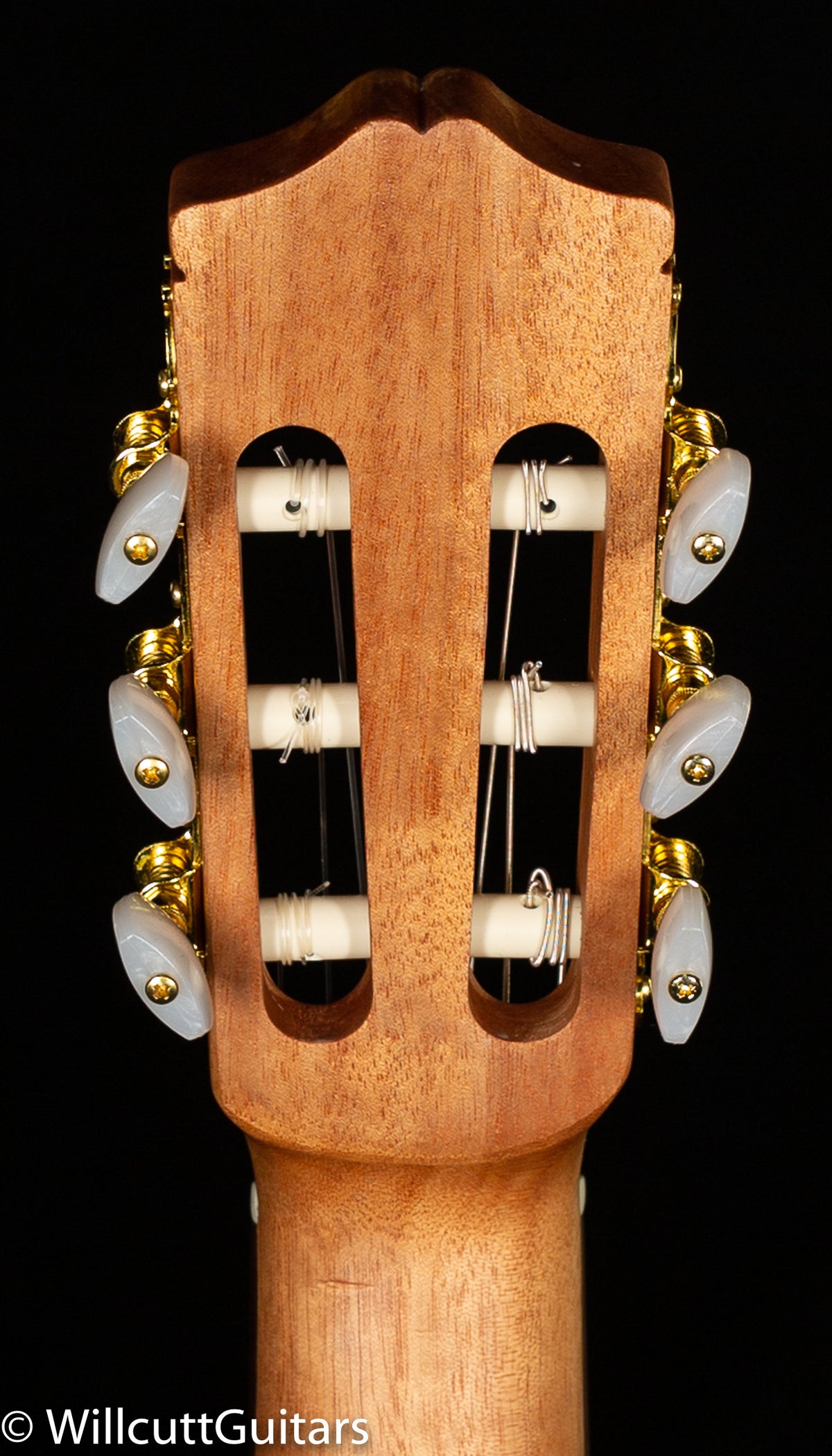 Protege by Cordoba C1M (810)