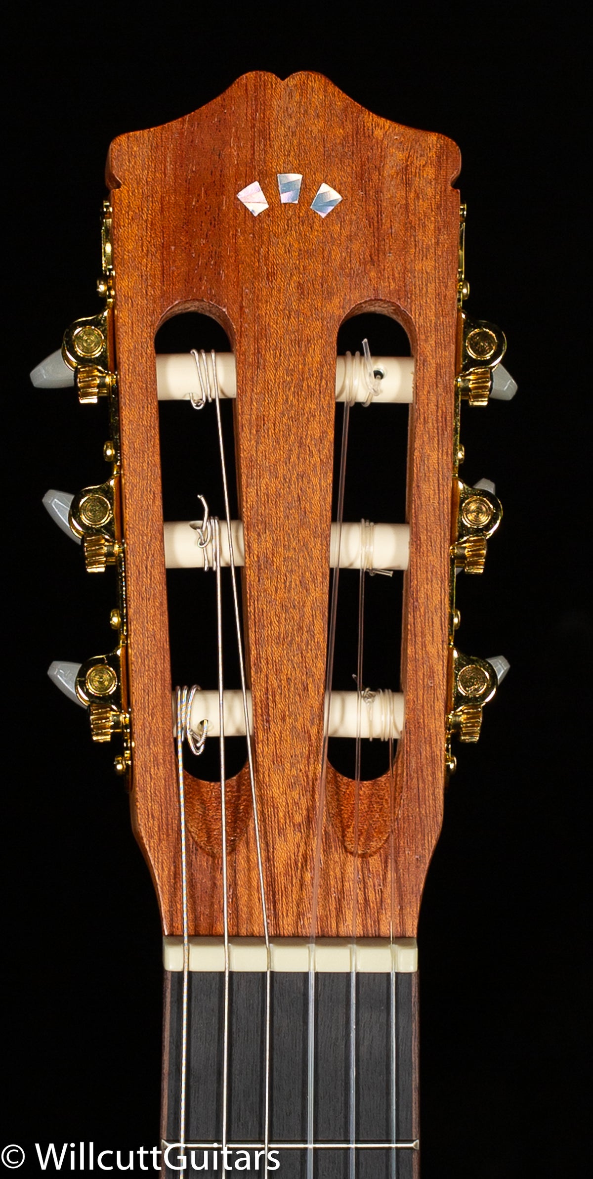 Protege by Cordoba C1M (870)