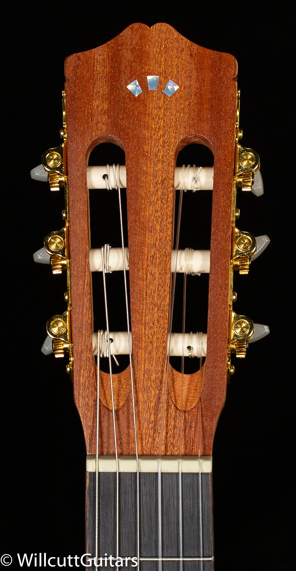 Protege by Cordoba C1M (875)