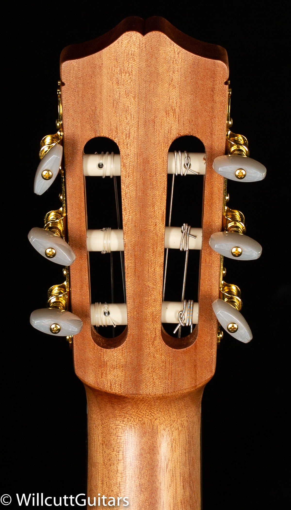 Protege by Cordoba C1M (875)