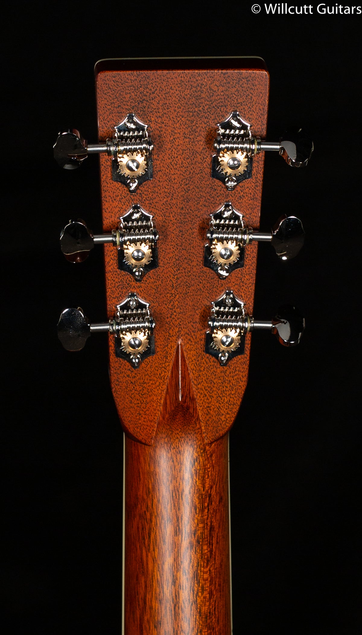 Santa Cruz Vintage Artist Dreadnought