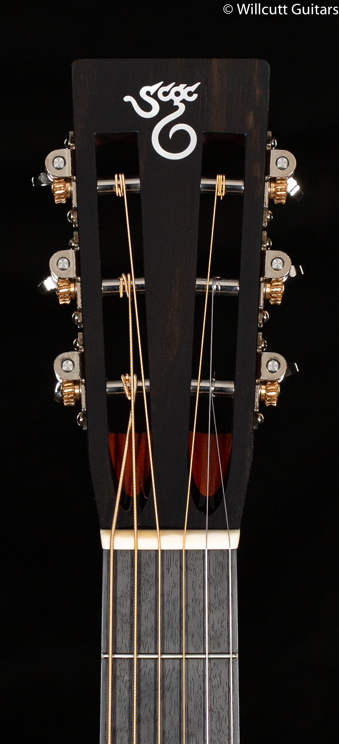 Santa Cruz 12 Fret D Model Cocobolo Guitar (749)