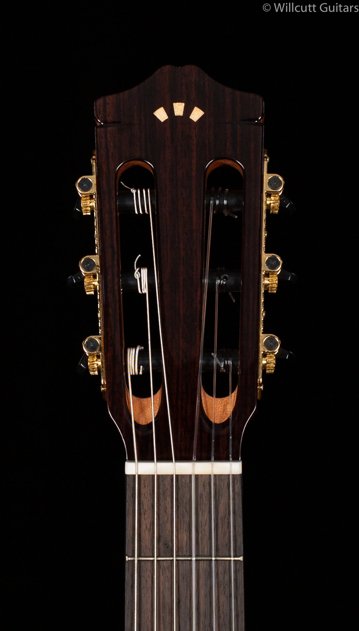 Cordoba GK Studio Ltd. Spruce/Zircote