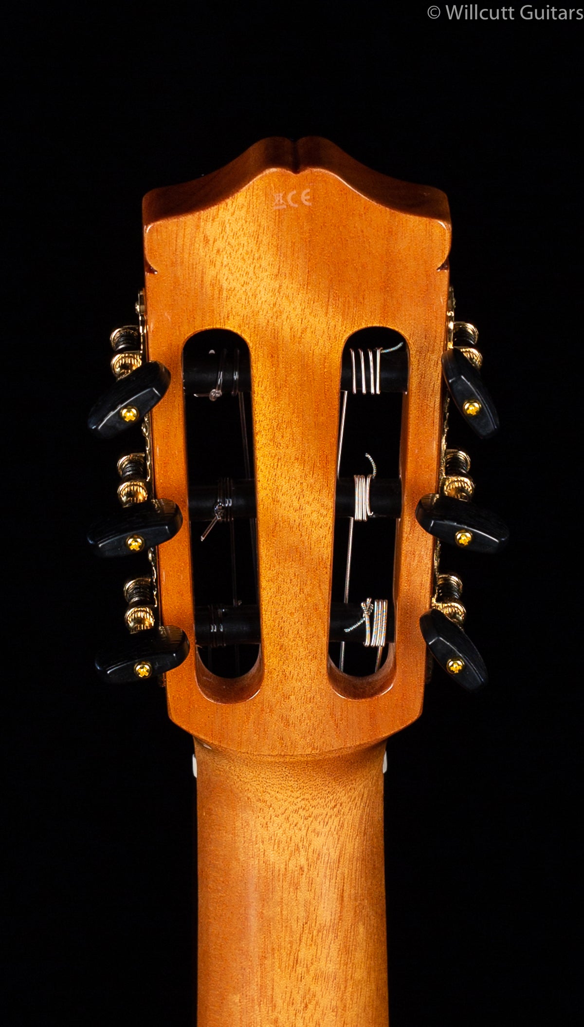 Cordoba GK Studio Ltd. Spruce/Zircote